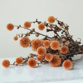 10buc Naturale Uscate Planeta Albastra Floare de Fructe Echinops SphaerocephalusHome Decorare DIY Crafting Accesorii Decor Rustic