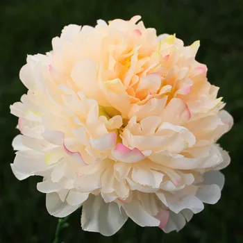 15 buc/lot Flori Artificiale 18cm Bujor Cap de Floare DIY Petrecere de Nunta de Decorare Flori False Perete Accesorii Pentru Decor Acasă