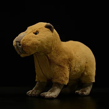 22cm Mare Realiste Capybara Animale de Pluș Jucării Viața Reală Drăguț Capybara Jucărie de Pluș de Ziua de nastere Cadouri de Craciun Pentru Copii