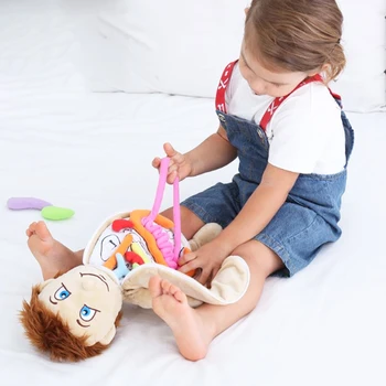 Corpul uman Organe Model de Anatomie Jucărie din Pluș Papusa de Învățământ Preșcolar Jucării de Învățare pentru Copii Organ Conștientizarea Instrument de Predare
